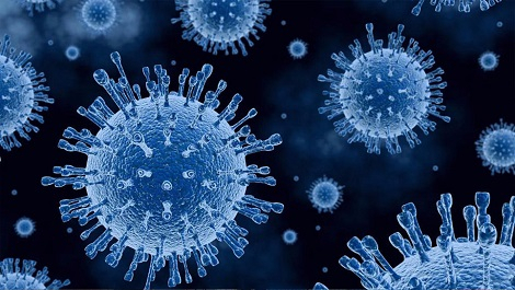 Что такое коронавирус и как его не «подцепить»